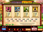 paytable slot ninja fruits