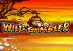 slot gratis wild gambler